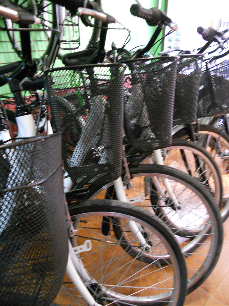 Barcelona Folding Bike
